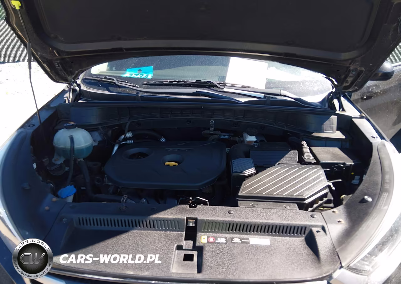 2017 Hyundai Tucson Se VIN:KM8J23A45HU538971 - 10