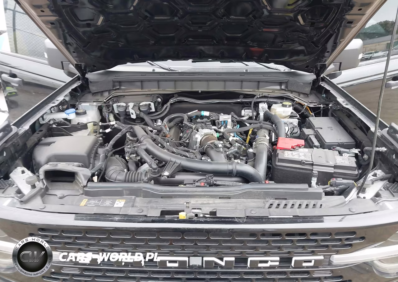 2025 Ford Bronco Badlands VIN:1FMEE9BP2SLA67217 - 10