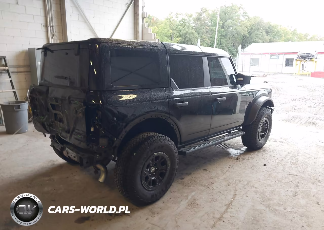 2025 Ford Bronco Badlands VIN:1FMEE9BP2SLA67217 - 4