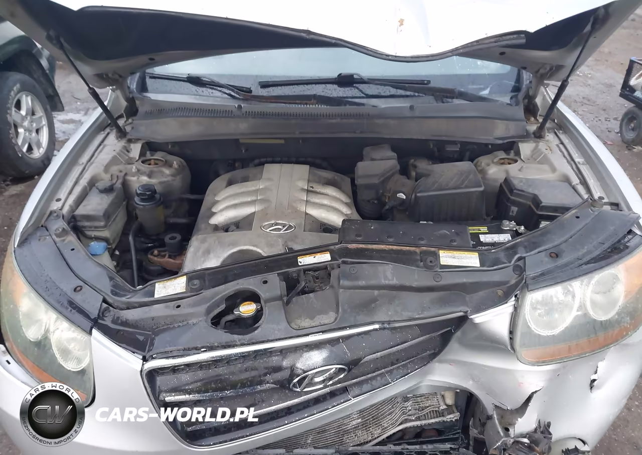 2007 Hyundai Santa Fe Limited-Se VIN:5NMSH13E87H001244 - 10