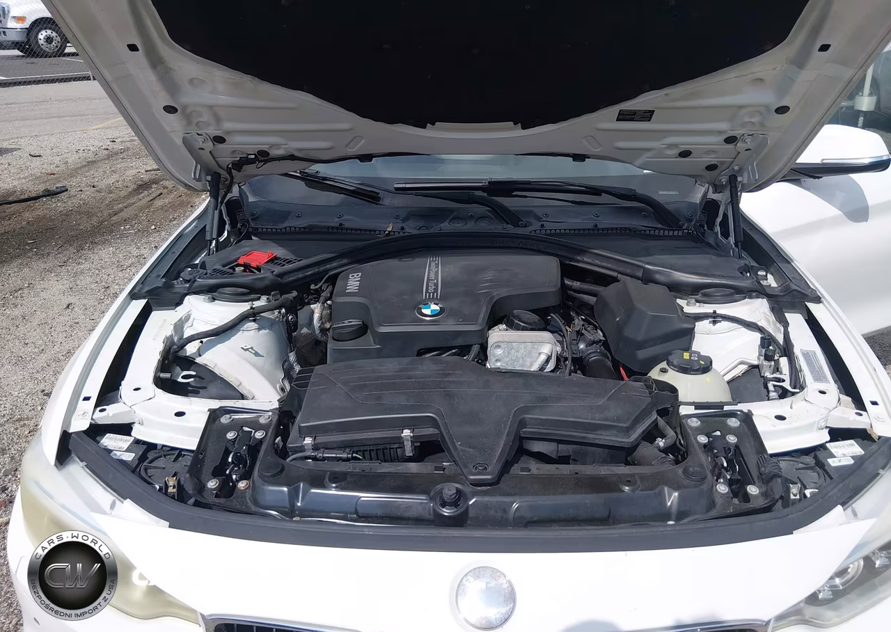 2015 BMW 428I xDrive VIN:WBA3N9C53FK246593 - 10