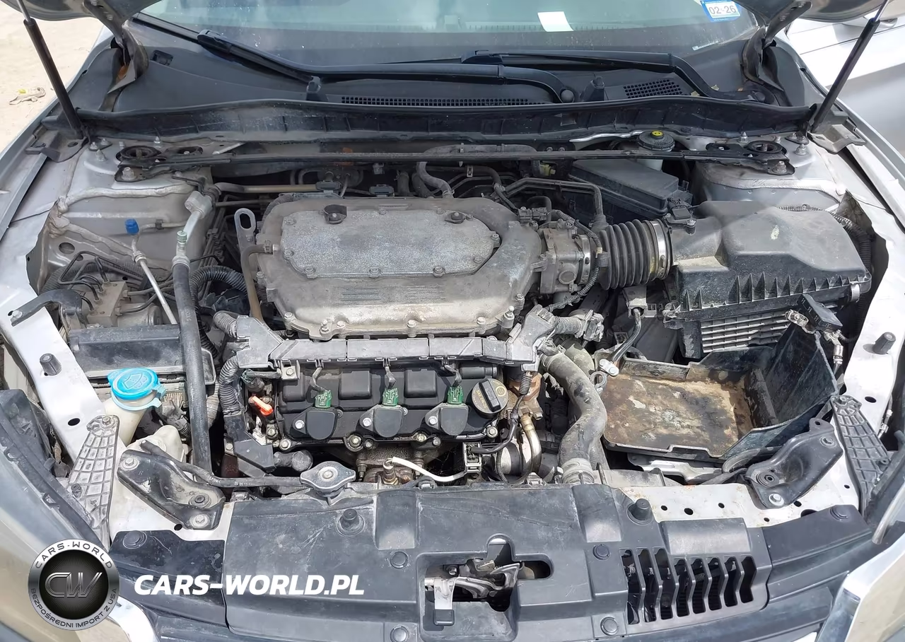 2013 Honda Accord Ex-L V-6 VIN:1HGCR3F8XDA009808 - 10