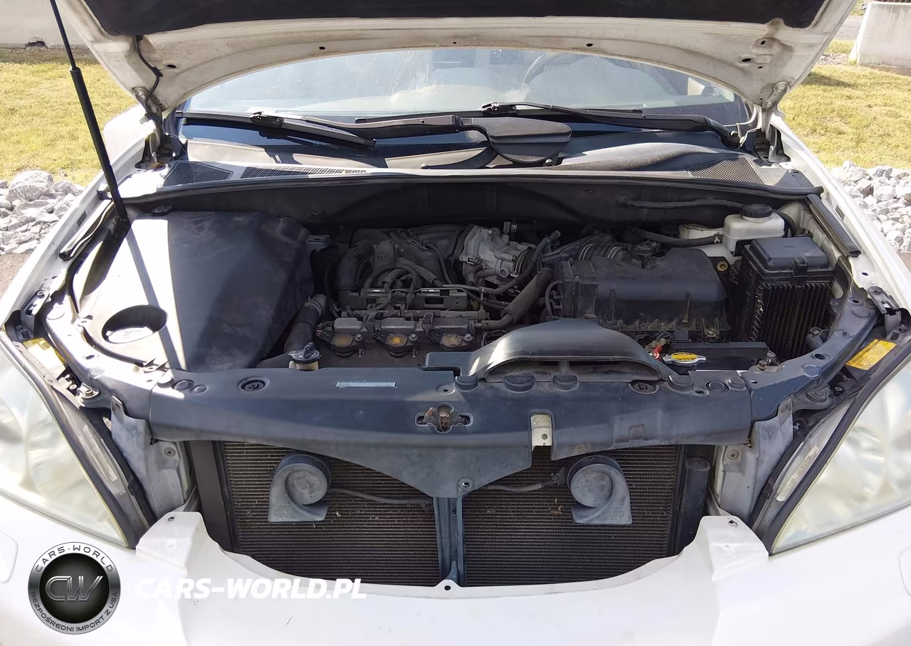 2004 Lexus Rx 330 VIN:2T2HA31U84C025268 - 10