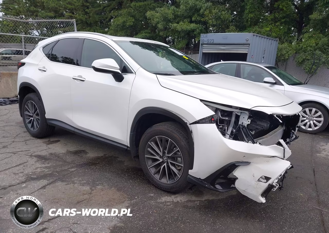 2025 Lexus Nx 350 VIN:2T2AGCEZXSC080176 - 1