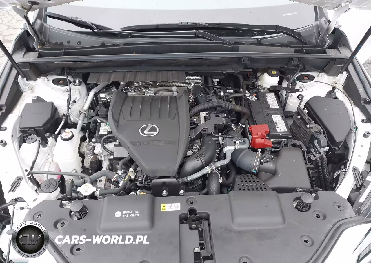 2025 Lexus Nx 350 VIN:2T2AGCEZXSC080176 - 10