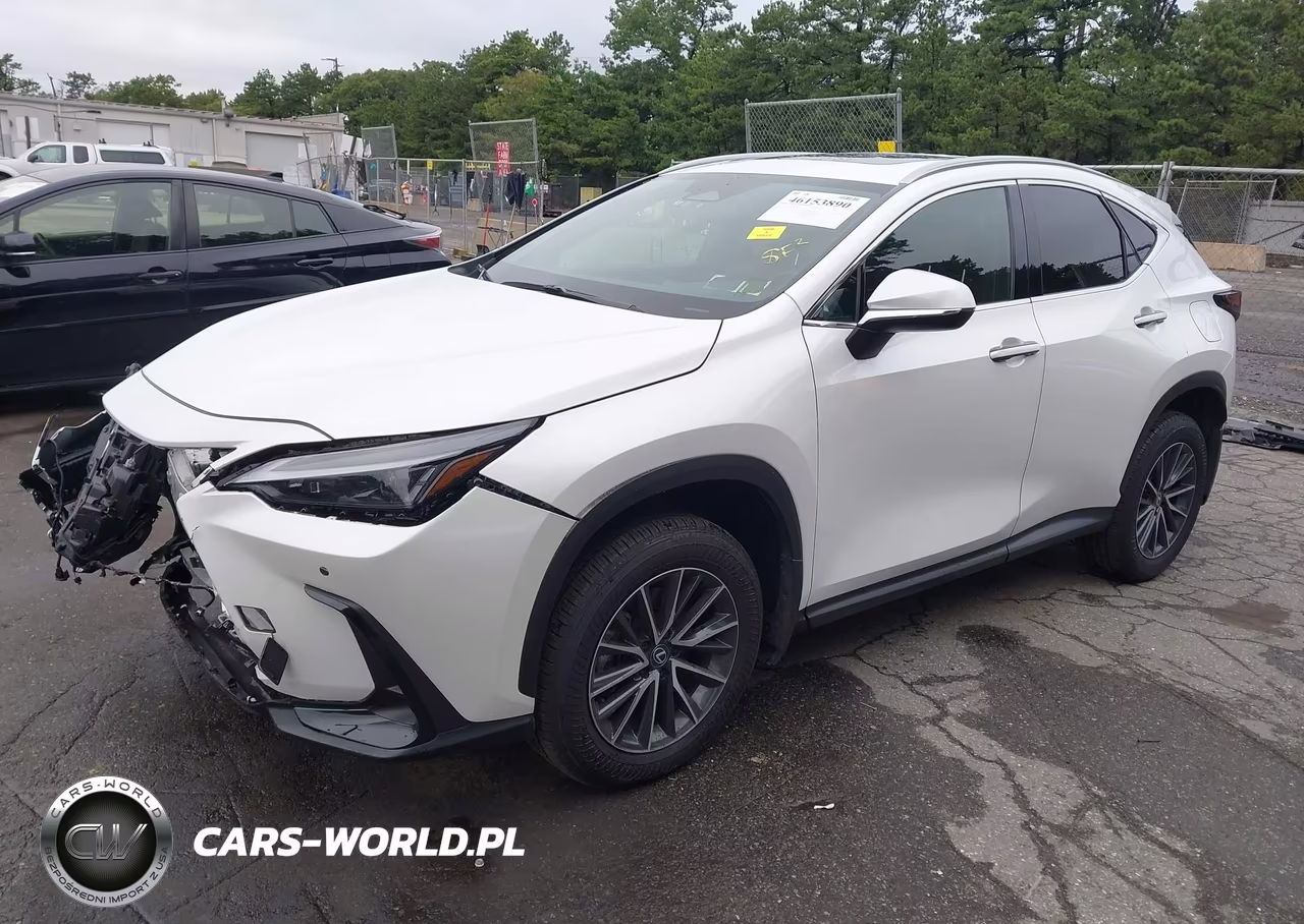 2025 Lexus Nx 350 VIN:2T2AGCEZXSC080176 - 2