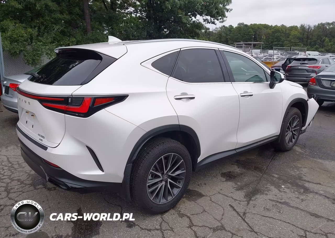 2025 Lexus Nx 350 VIN:2T2AGCEZXSC080176 - 4