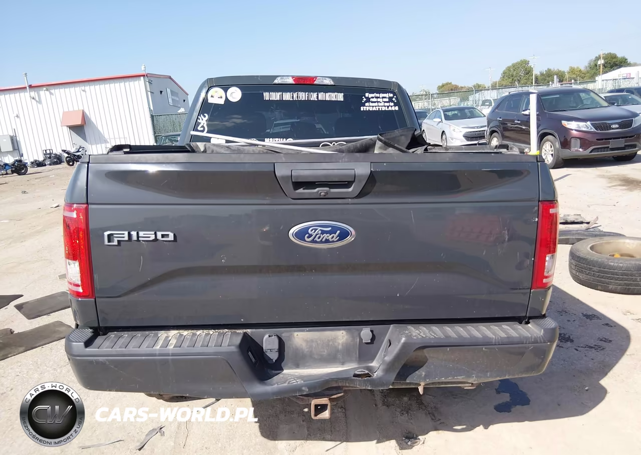 2016 Ford F-150 Xl VIN:1FTEW1CP3GKD64429 - 17