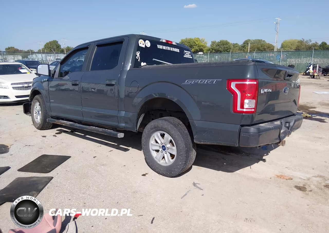 2016 Ford F-150 Xl VIN:1FTEW1CP3GKD64429 - 3
