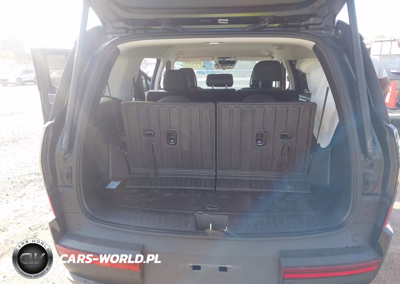 2025 Hyundai Santa Fe Sel VIN:5NMP24GL3SH125318 - 12