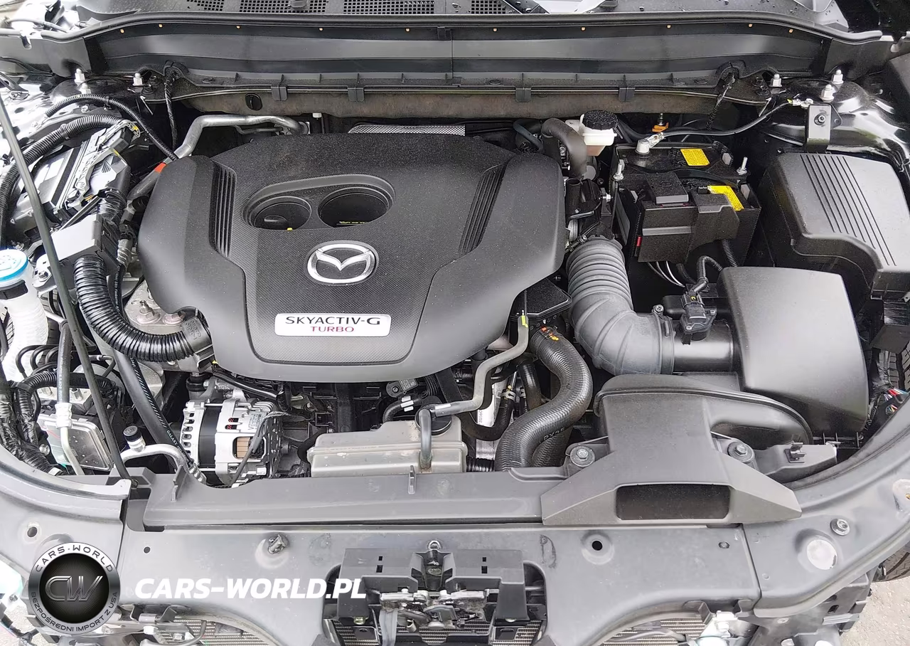 2025 Mazda Cx-5 2.5 Turbo Premium VIN:JM3KFBDY5S0607086 - 10
