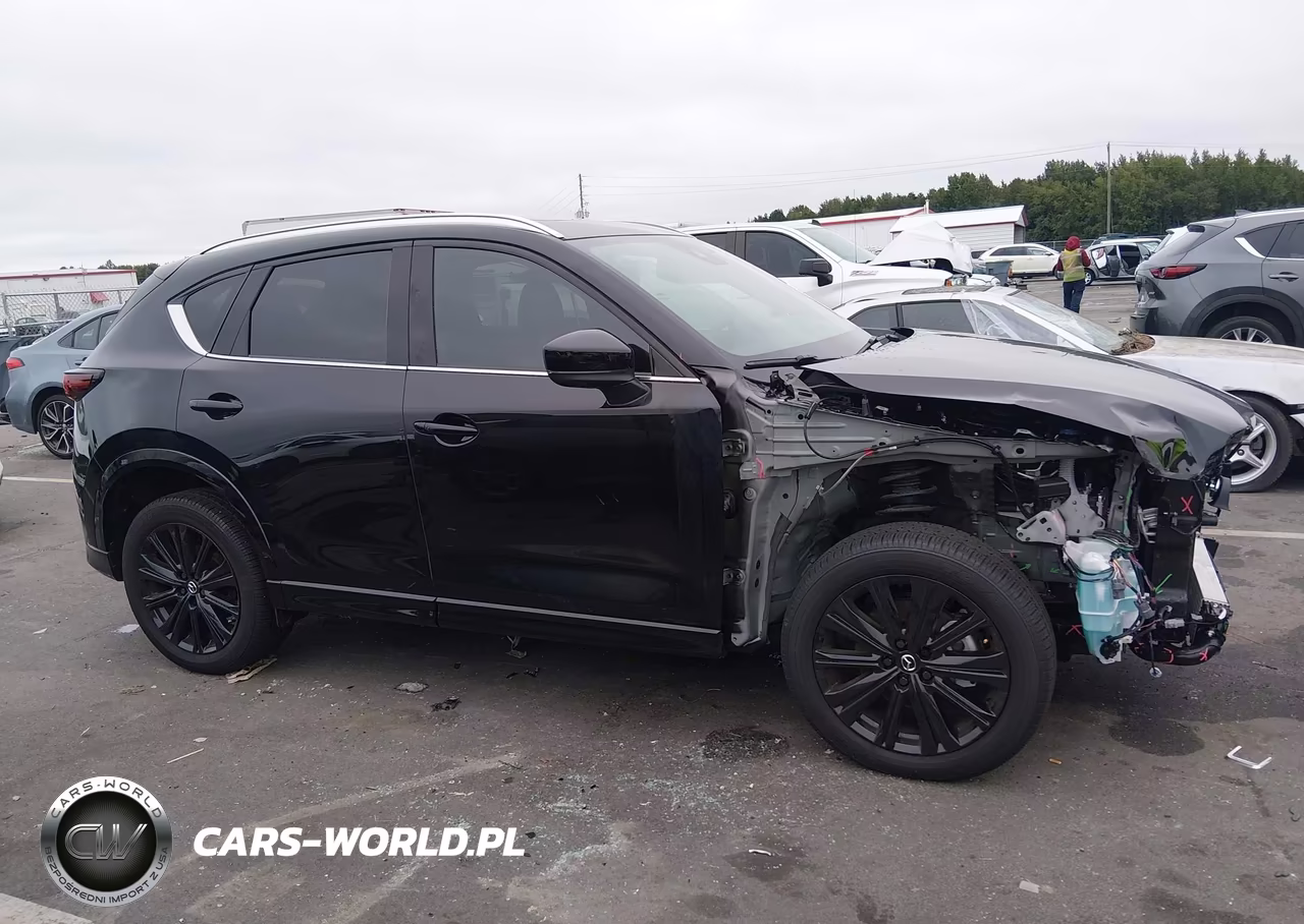 2025 Mazda Cx-5 2.5 Turbo Premium VIN:JM3KFBDY5S0607086 - 14