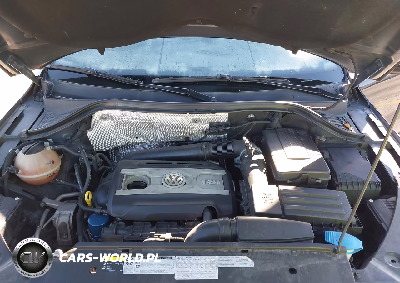 2014 Volkswagen Tiguan R-Line VIN:WVGAV3AX0EW546977 - 10