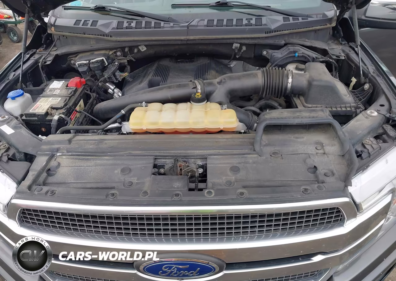 2018 Ford F-150 Platinum VIN:1FTEW1EG6JFE52775 - 10