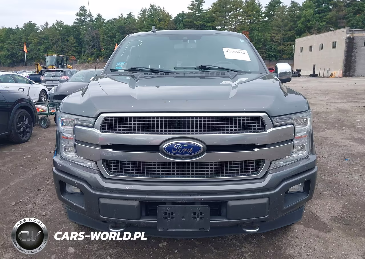2018 Ford F-150 Platinum VIN:1FTEW1EG6JFE52775 - 12