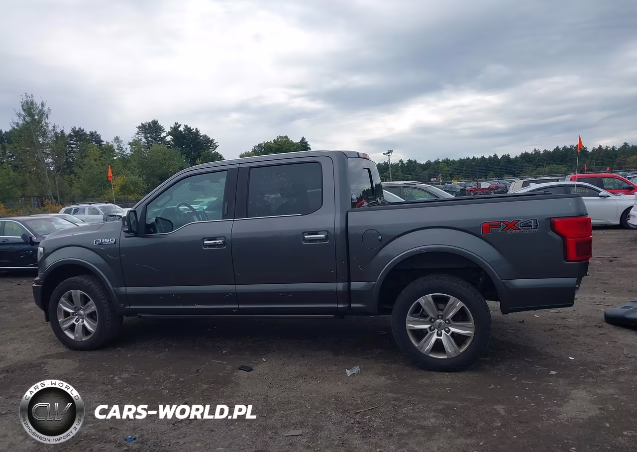 2018 Ford F-150 Platinum VIN:1FTEW1EG6JFE52775 - 14