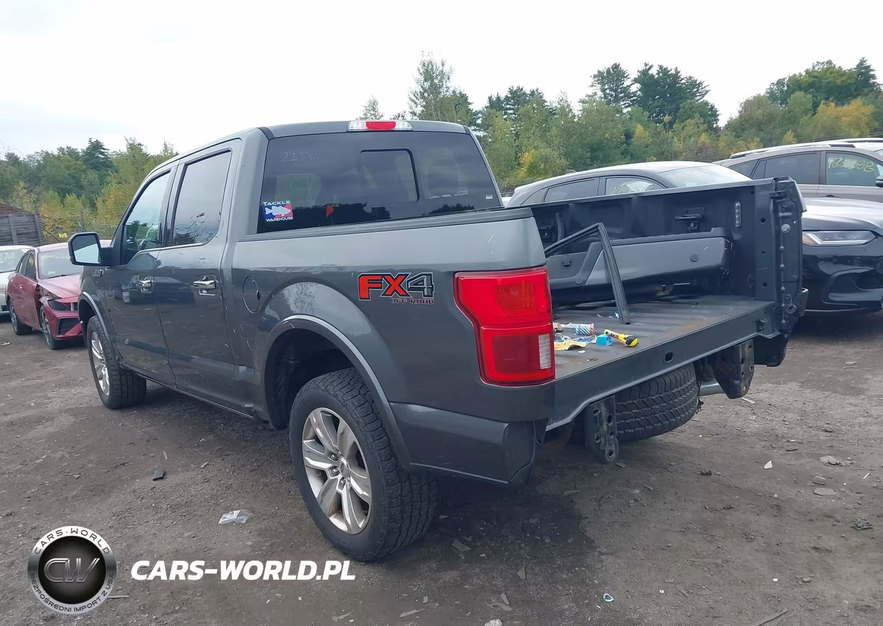 2018 Ford F-150 Platinum VIN:1FTEW1EG6JFE52775 - 3