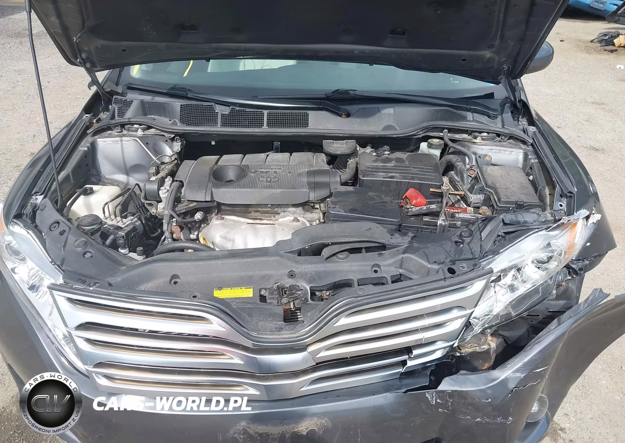 2011 Toyota Venza VIN:4T3ZA3BB6BU051571 - 10