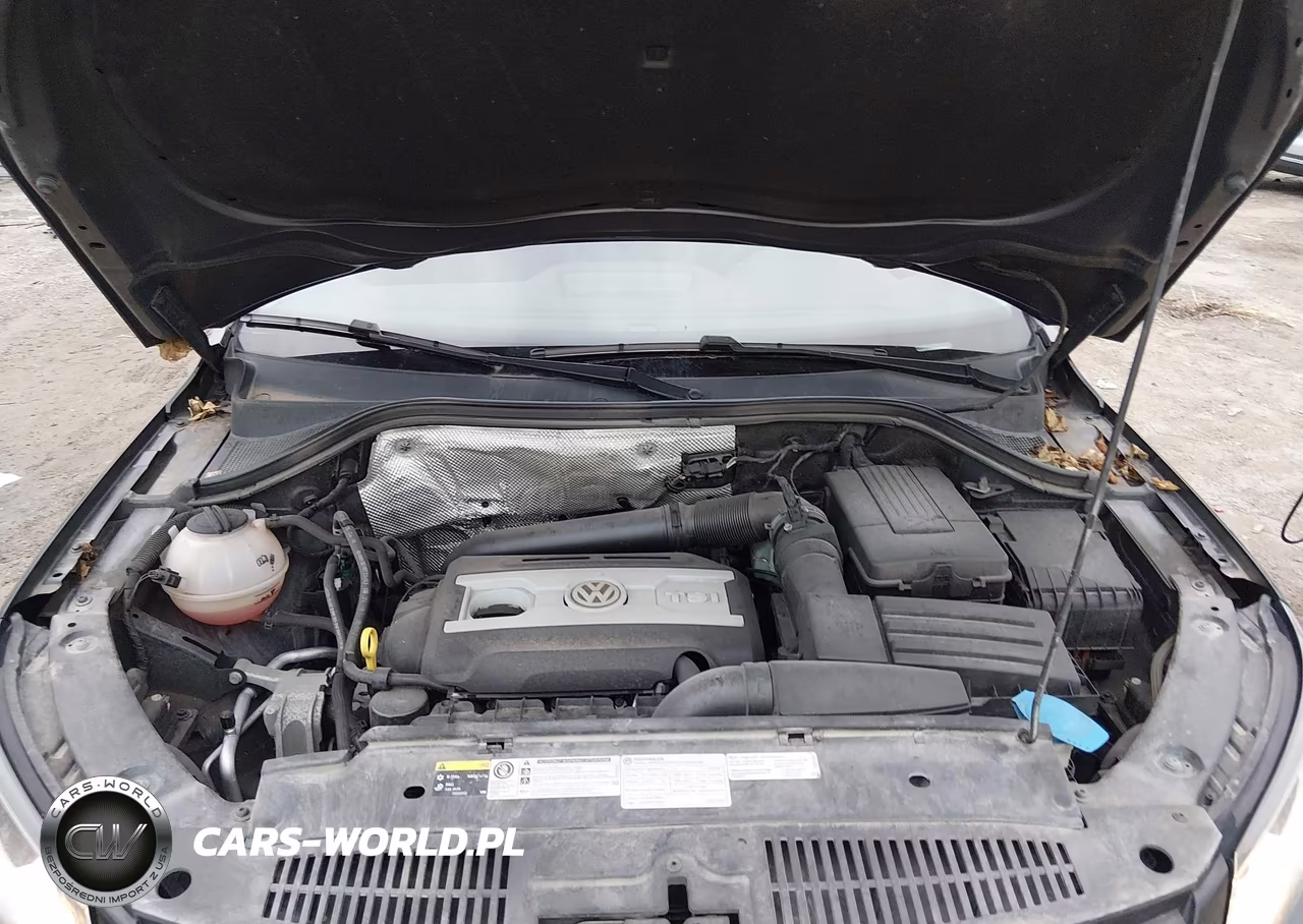 2017 Volkswagen Tiguan 2.0T S VIN:WVGAV7AX5HK002879 - 10