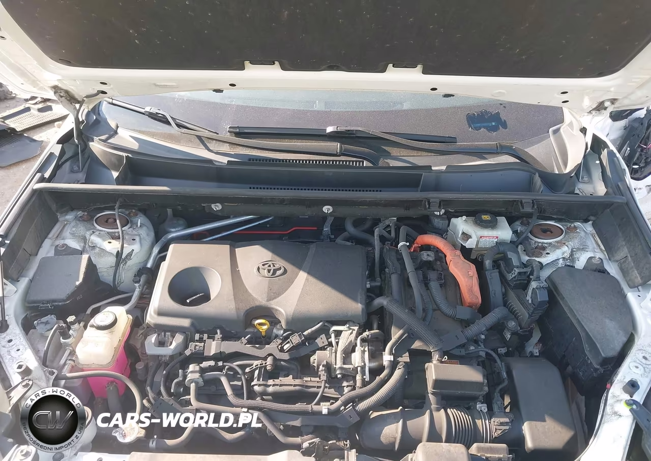 2019 Toyota Rav4 Hybrid Xle VIN:JTMRWRFV7KD009416 - 10