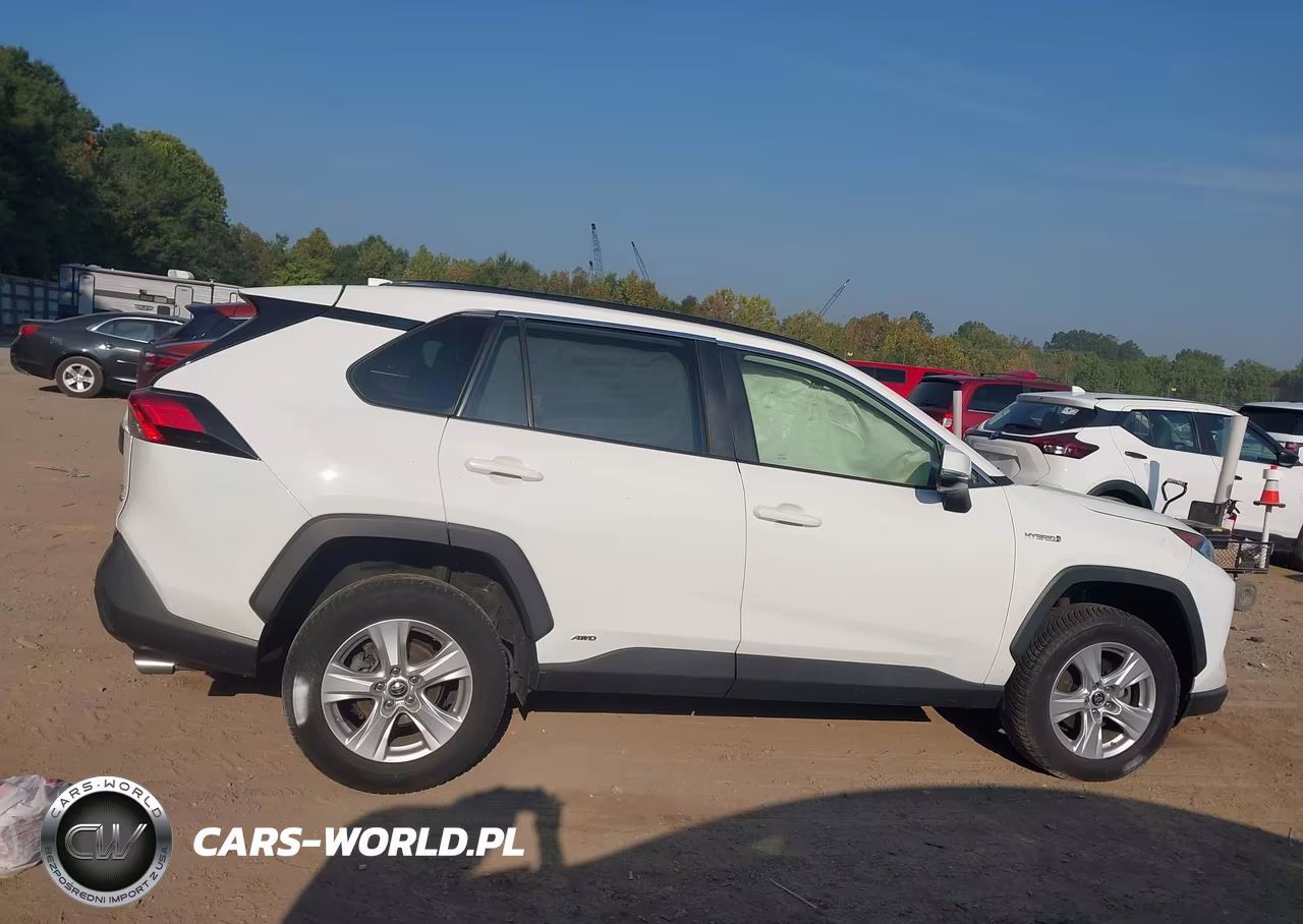 2019 Toyota Rav4 Hybrid Xle VIN:JTMRWRFV7KD009416 - 12