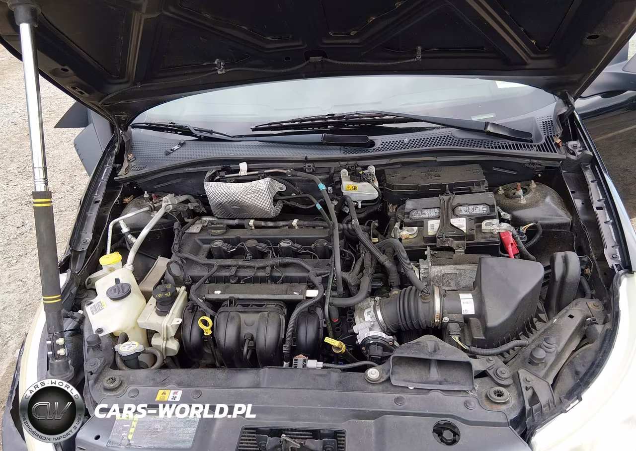 2011 Ford Focus Se VIN:1FAHP3FN0BW194621 - 10