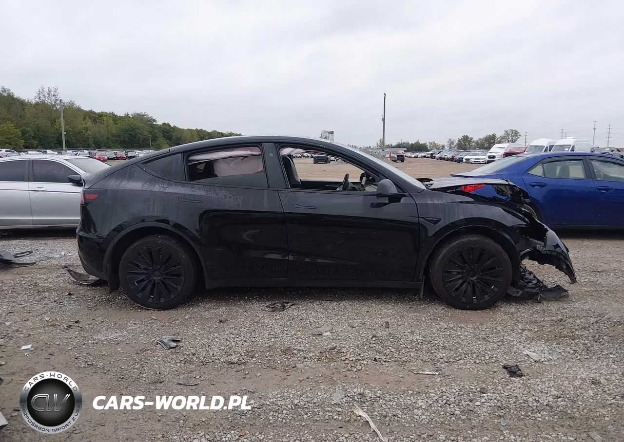 2023 Tesla Model Y Awd-Long Range Dual Motor All-Wheel Drive VIN:7SAYGDEE9PA188846 - 12