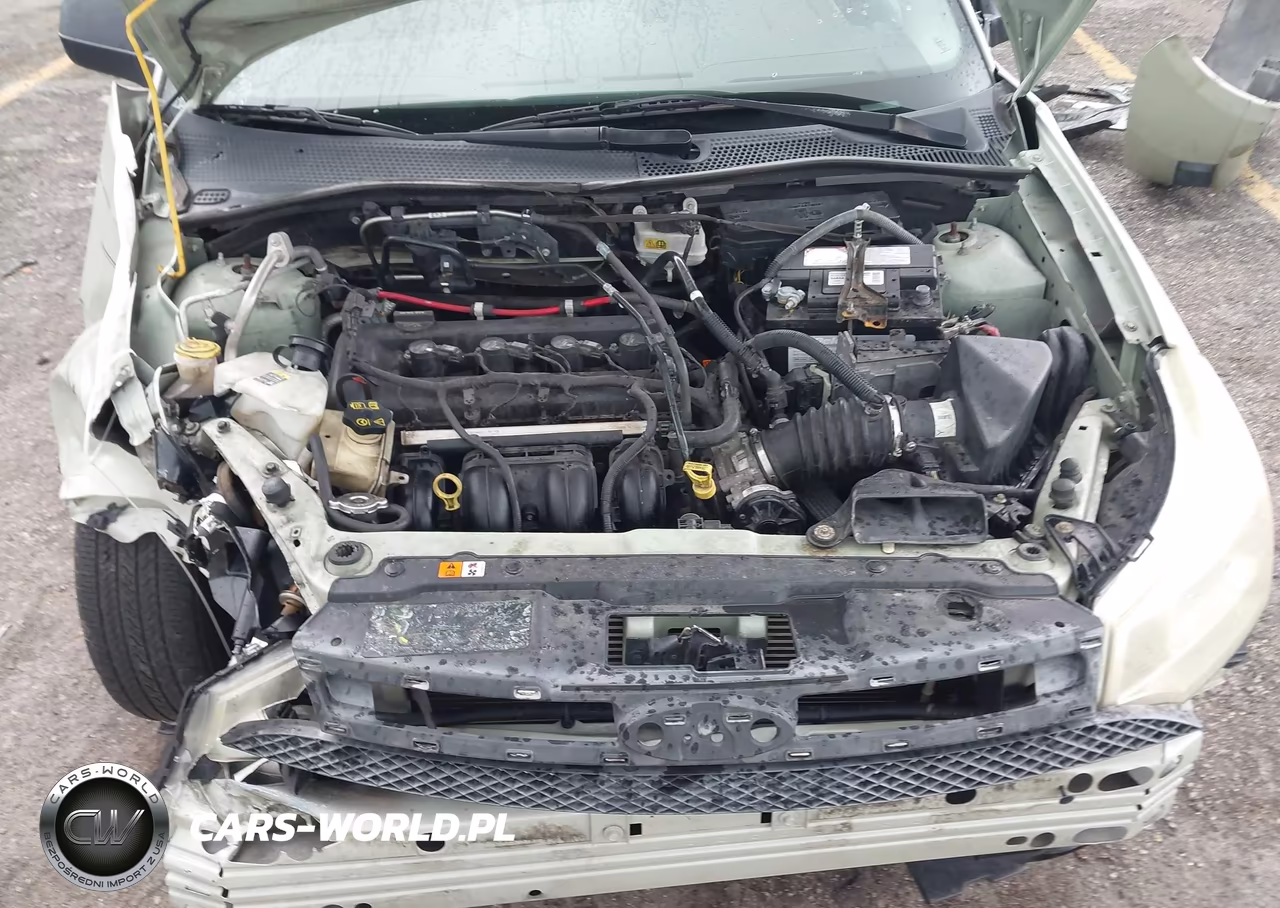 2010 Ford Focus S VIN:1FAHP3EN2AW182342 - 10