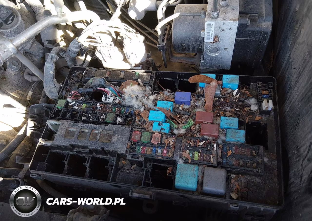 2015 Toyota Tundra Sr 4.6L V8 VIN:5TFUM5F11FX061814 - 6
