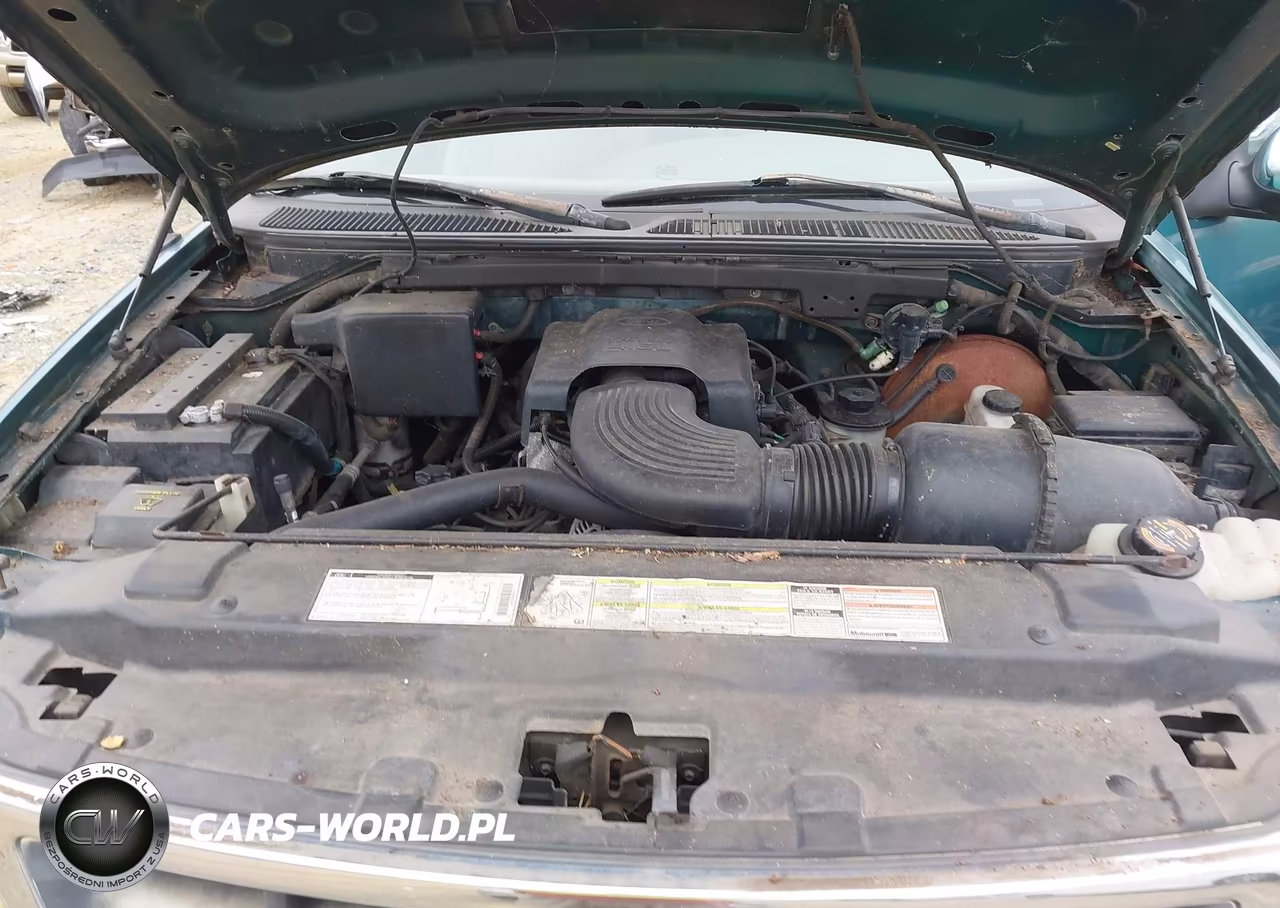 1997 Ford F-150 Lariat-Standard-Xl-Xlt VIN:1FTDX1767VNB83355 - 10