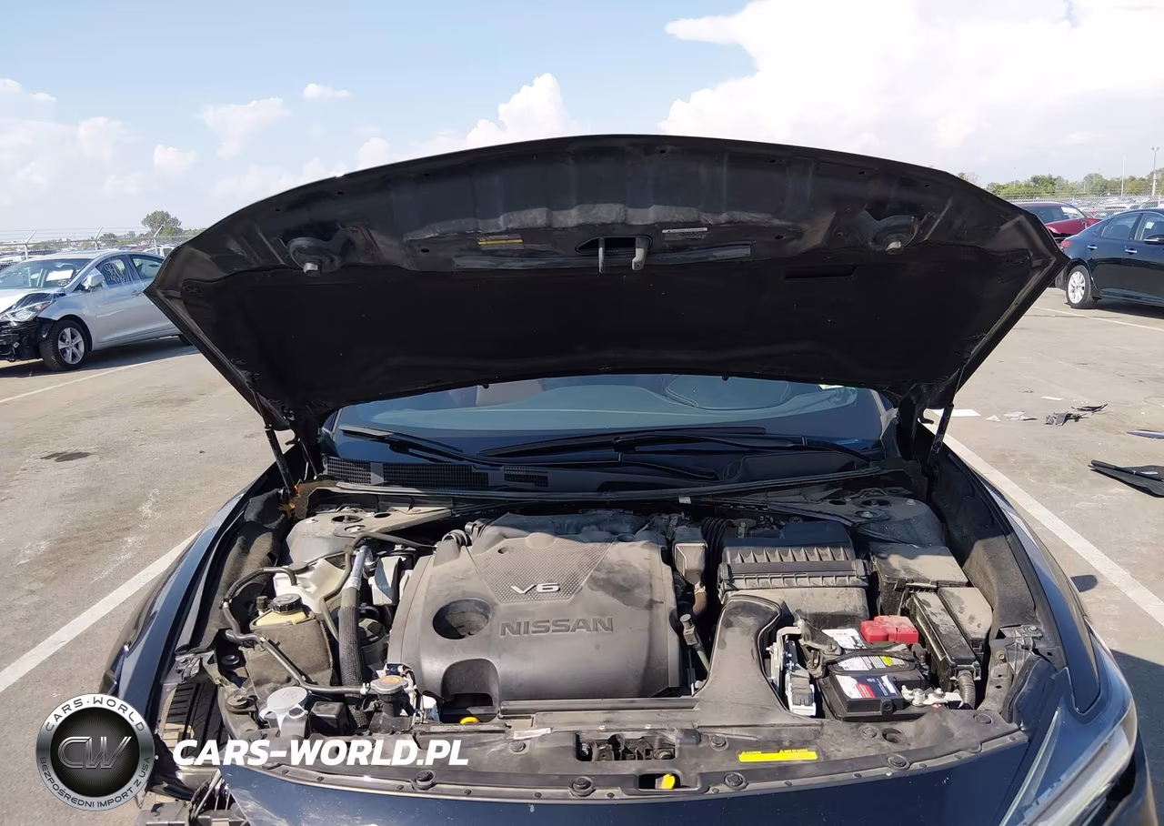 2019 Nissan Maxima 3.5 Platinum VIN:1N4AA6AV9KC384690 - 10