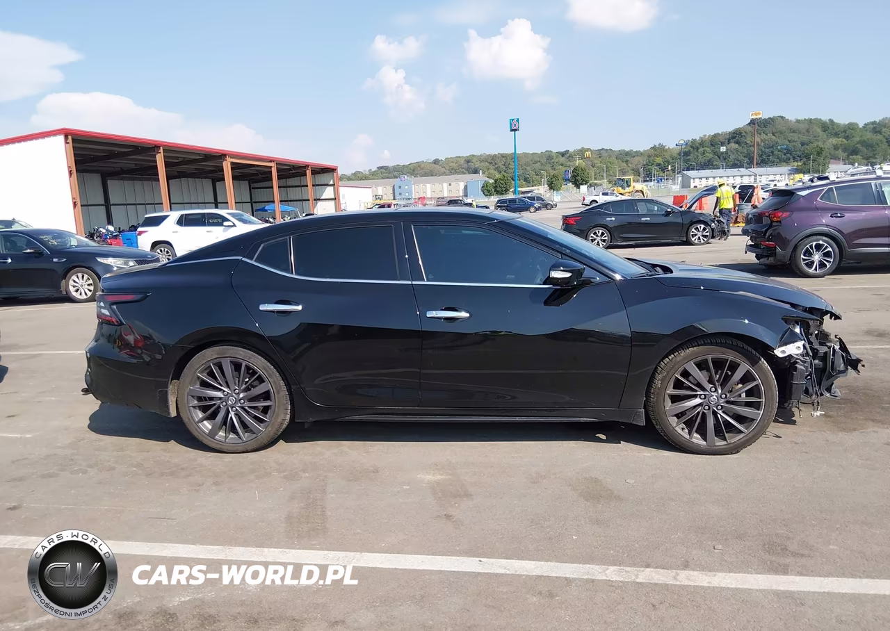 2019 Nissan Maxima 3.5 Platinum VIN:1N4AA6AV9KC384690 - 13