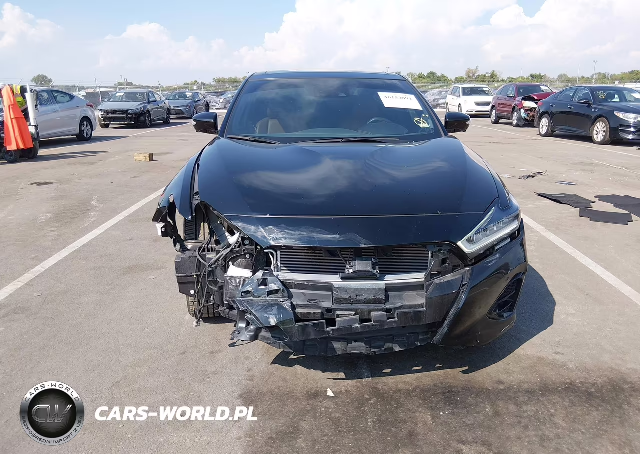 2019 Nissan Maxima 3.5 Platinum VIN:1N4AA6AV9KC384690 - 6