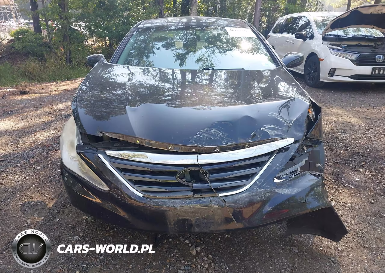 2014 Hyundai Sonata Gls VIN:5NPEB4AC3EH881738 - 13
