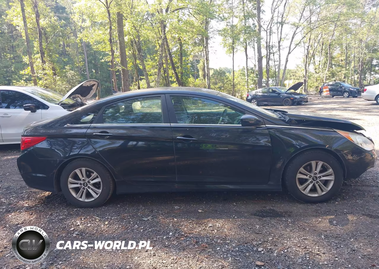 2014 Hyundai Sonata Gls VIN:5NPEB4AC3EH881738 - 14