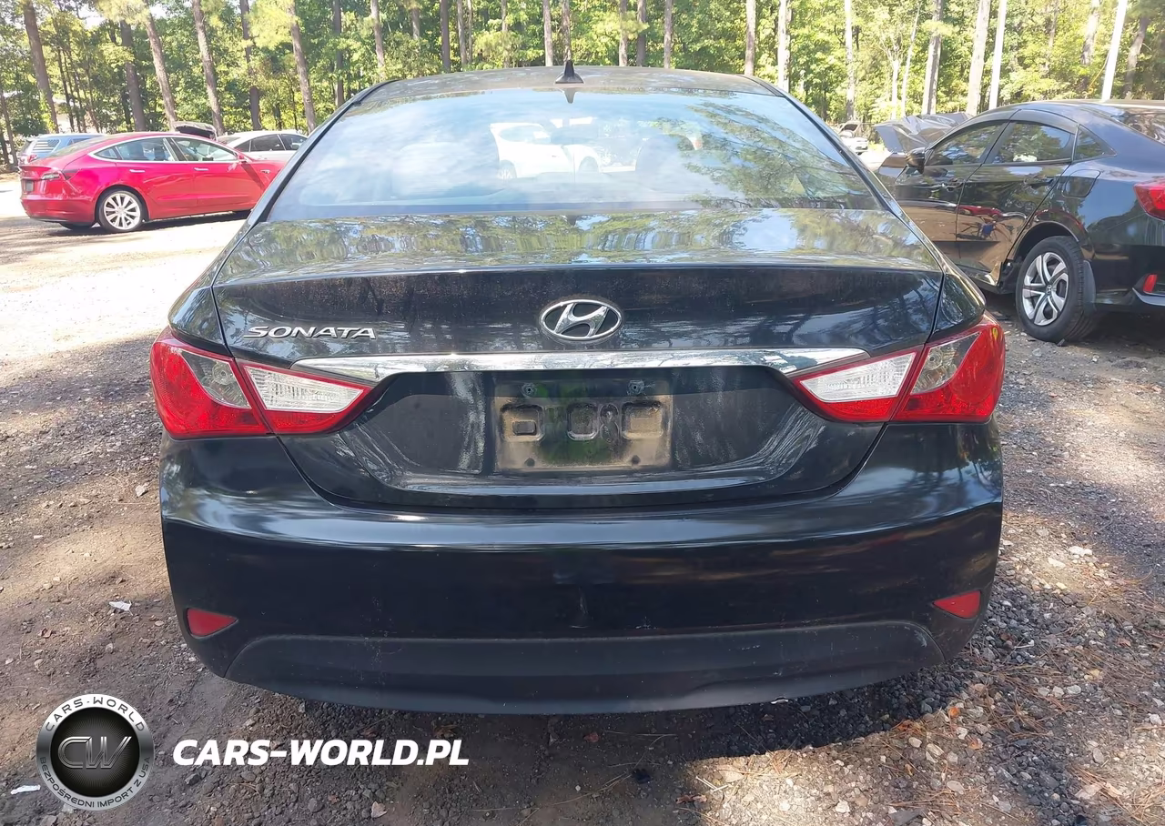 2014 Hyundai Sonata Gls VIN:5NPEB4AC3EH881738 - 17