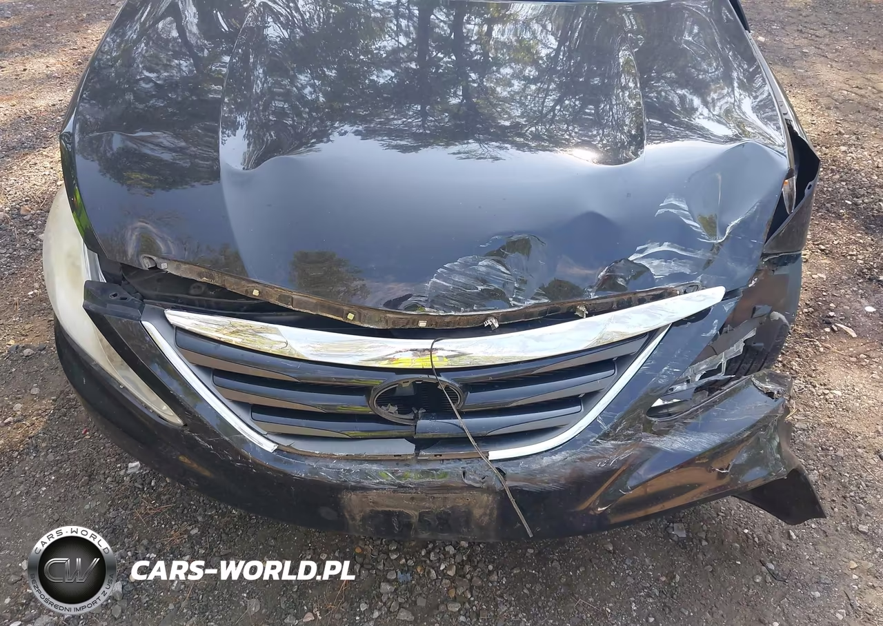 2014 Hyundai Sonata Gls VIN:5NPEB4AC3EH881738 - 6