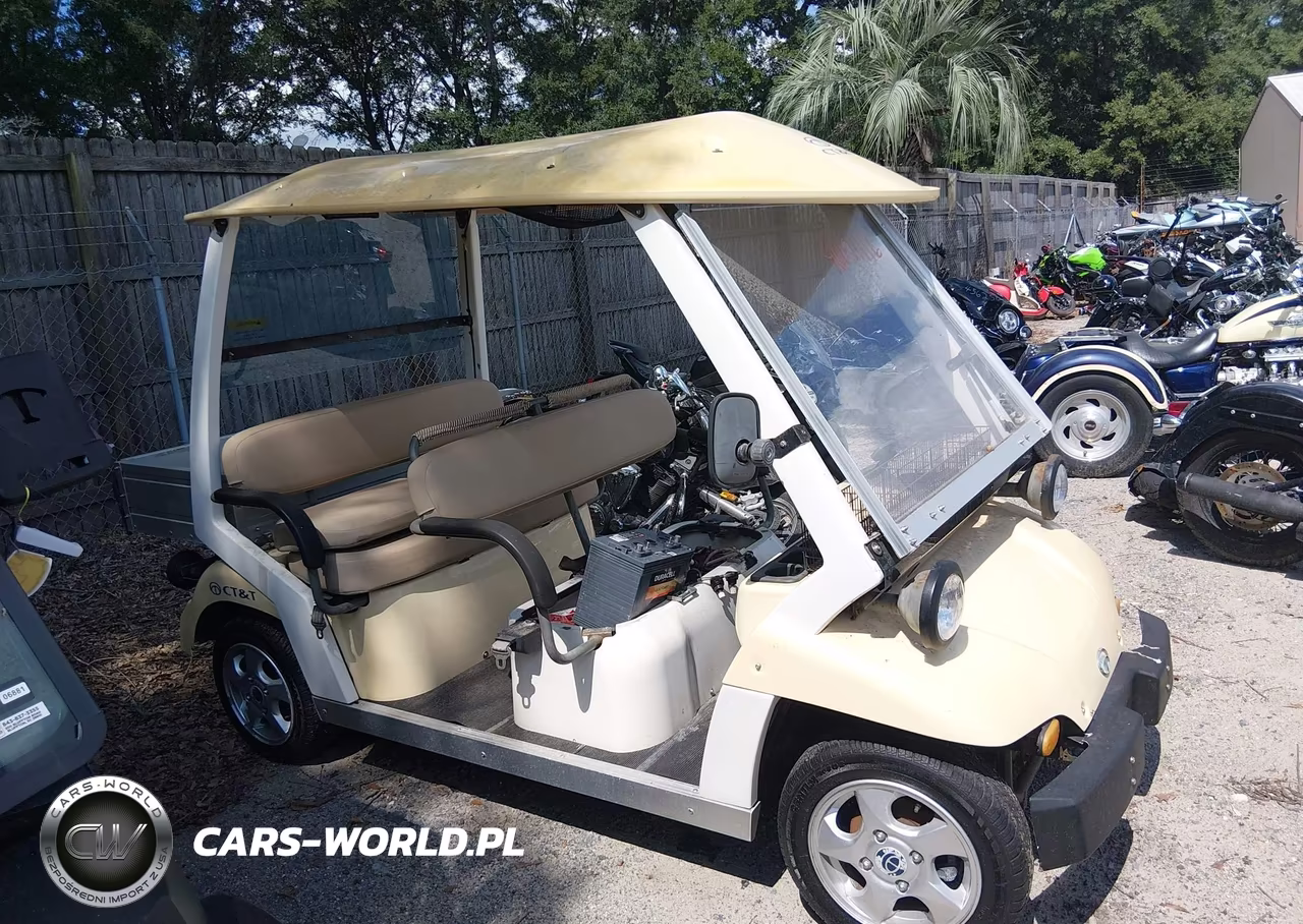 2009 Ct And T Golf Cart VIN:KLPANSU359CPA1966 - 13