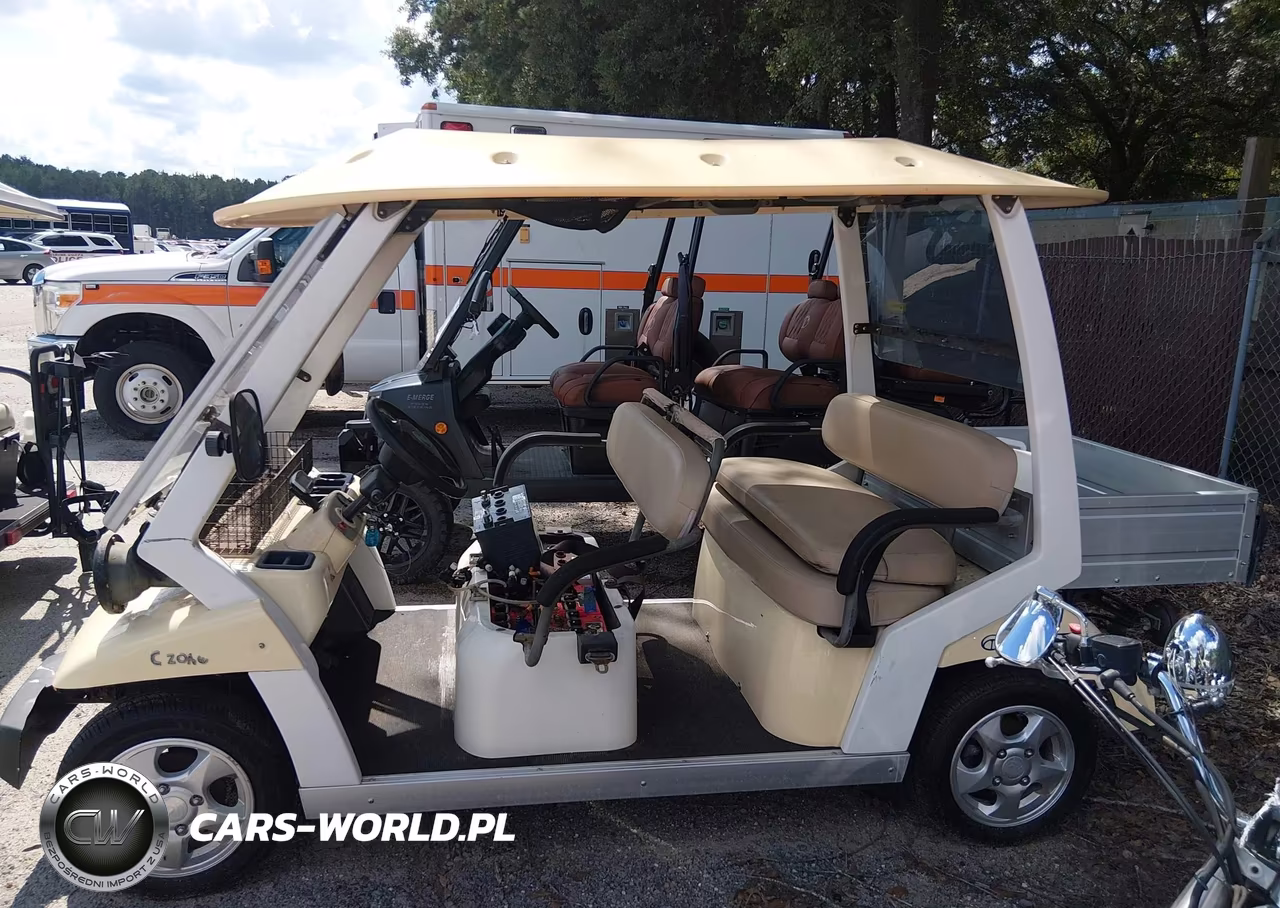 2009 Ct And T Golf Cart VIN:KLPANSU359CPA1966 - 14