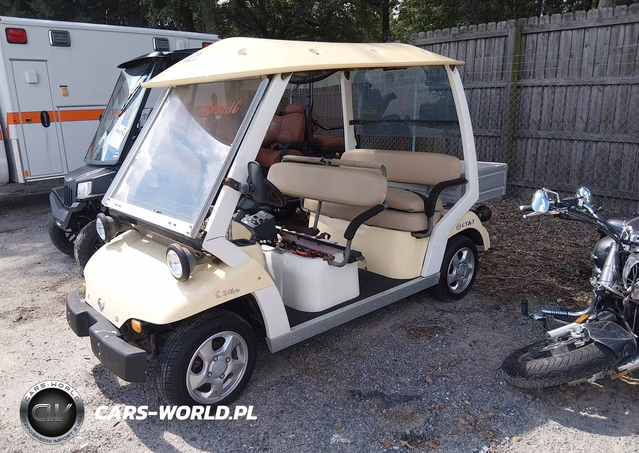2009 Ct And T Golf Cart VIN:KLPANSU359CPA1966 - 2