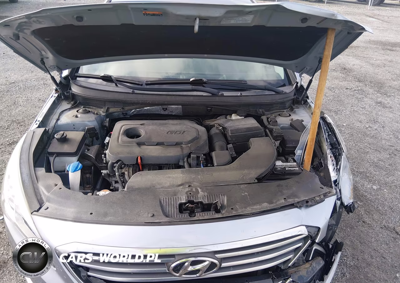 2016 Hyundai Sonata Se VIN:5NPE24AF4GH421162 - 10