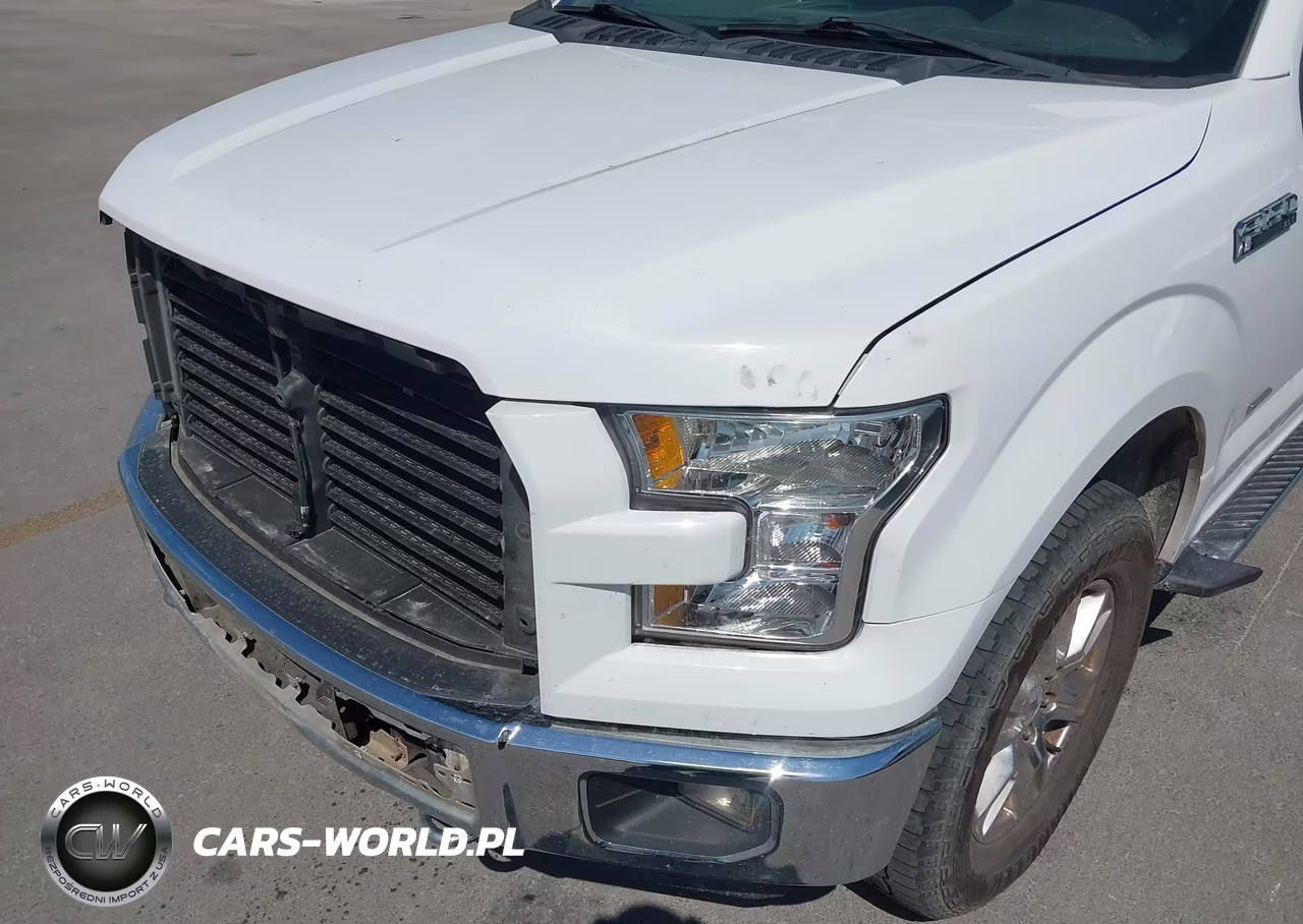 2016 Ford F-150 Xlt VIN:1FTEW1EPXGKD92953 - 19
