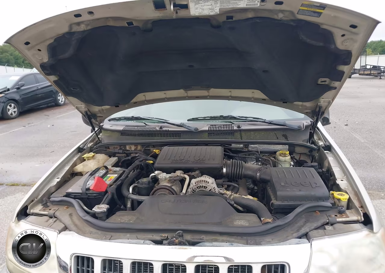 2004 Jeep Grand Cherokee Limited VIN:1J4GW58N94C339199 - 10