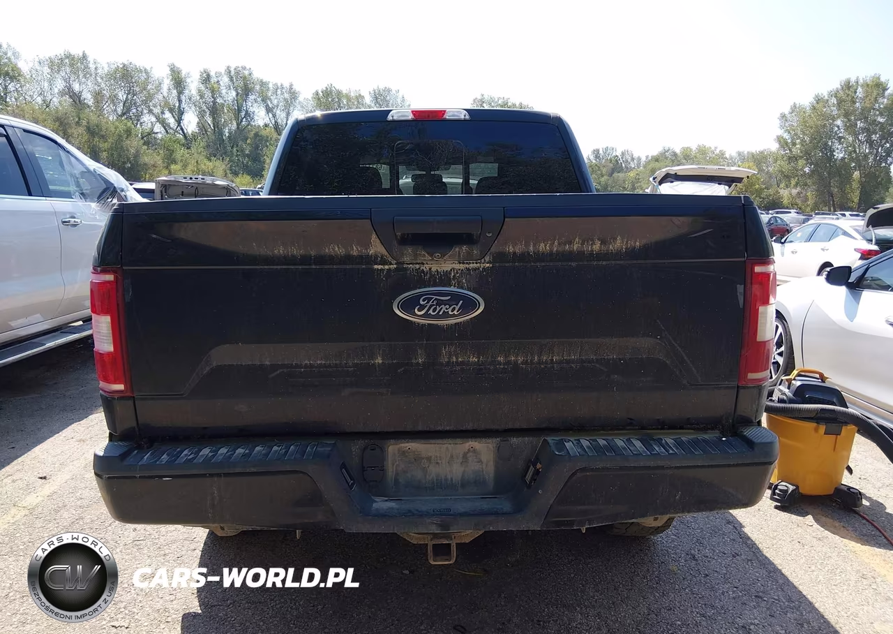 2019 Ford F-150 Xlt VIN:1FTEW1E57KFD17126 - 17