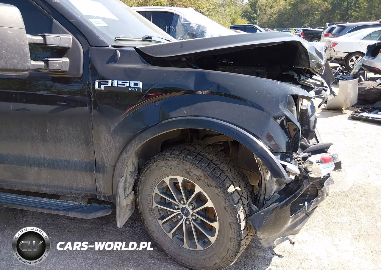 2019 Ford F-150 Xlt VIN:1FTEW1E57KFD17126 - 19