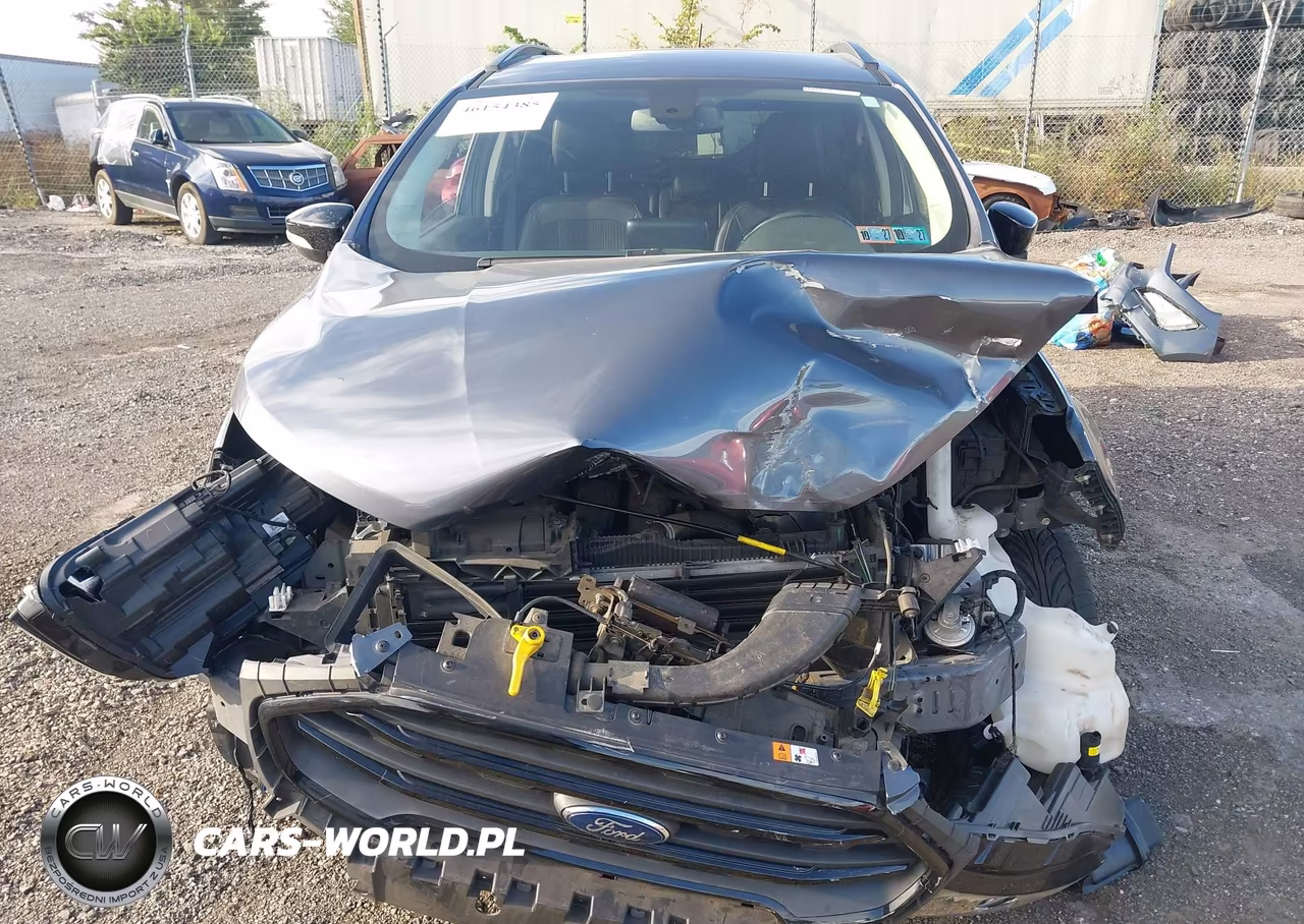 2020 Ford Ecosport Ses VIN:MAJ6S3JLXLC389415 - 11