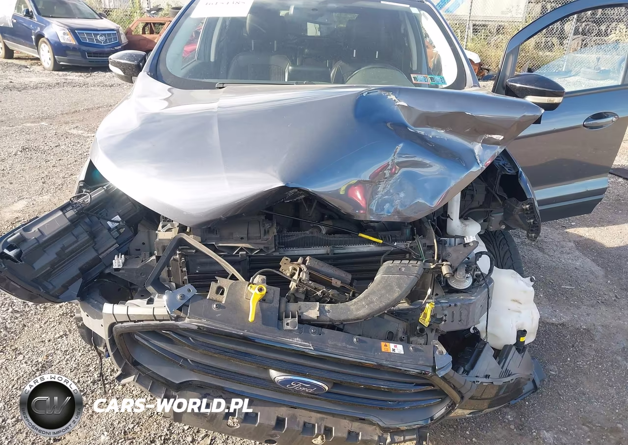 2020 Ford Ecosport Ses VIN:MAJ6S3JLXLC389415 - 6