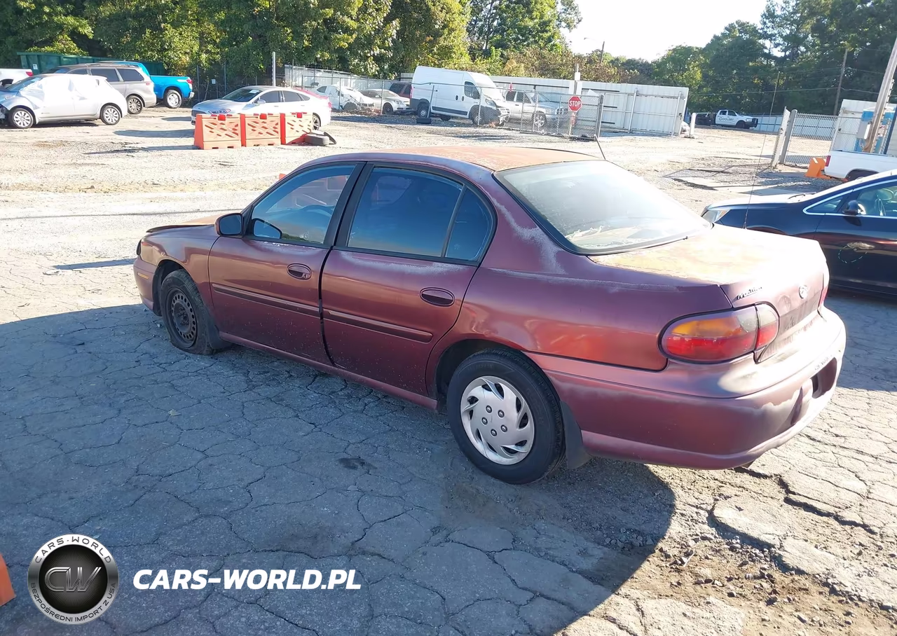 1998 Chevrolet Malibu VIN:1G1ND52T3WY116486 - 3