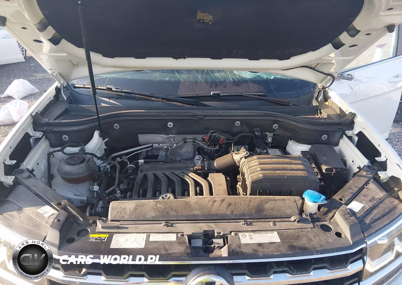 2019 Volkswagen Atlas 3.6L V6 Se W-Technology VIN:1V2WR2CA2KC579914 - 10