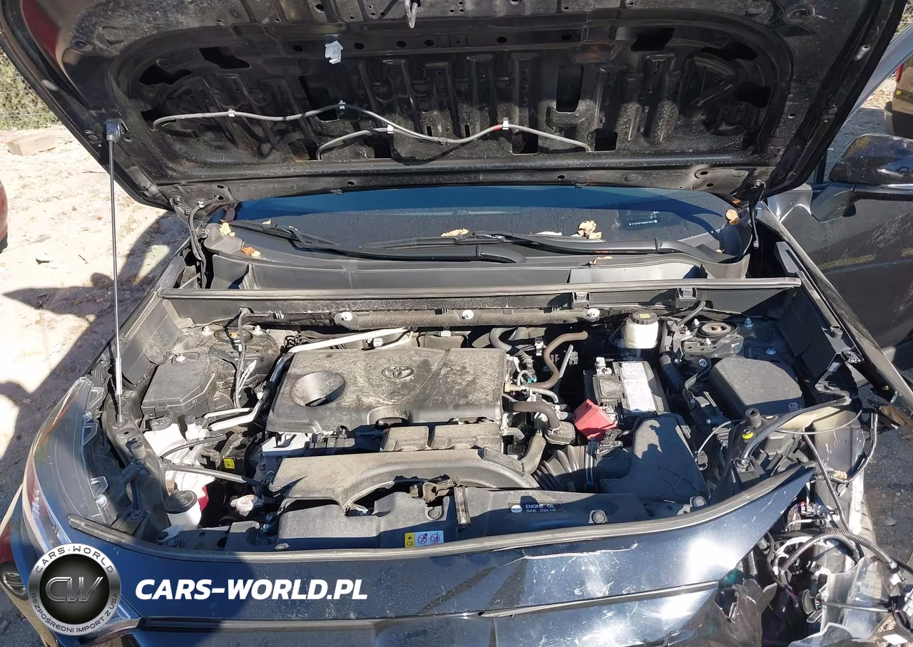 2019 Toyota Rav4 Limited VIN:2T3N1RFV9KW079872 - 10